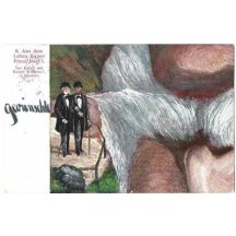 Jedna pohlednice z POHLEDNICOVÉHO OBRAZU císaře Františka Josefa