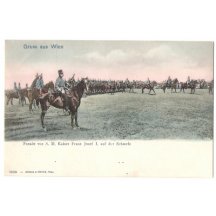 Franz Joseph lead troops