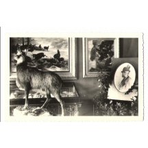 Obrazy a trofeje v místnosti