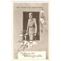 Franz Josef in box , special treatment