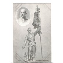 Soldier lifted flag in honor of emperor 