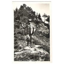 Pomník Franz Josefa u města Walster