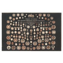 Honours of Franz Pittner , Austria - St.Pölten