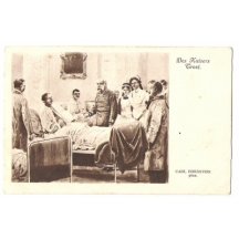 Franz Josef na návštěvě nemocnice