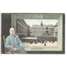 Pěvecké vystoupení a sedící císař Franz Joseph, Vídeň