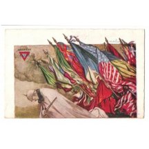 Wilhelm II. respecter of coercion allies ( flags ) 