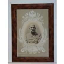 Rostlinný motiv na obrazu, spolu s Františkem Josefem