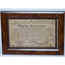 Slovní karikatura na císaře Karla