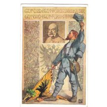 Soldier celebrates Franz Joseph