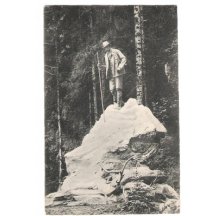 Bronzová socha Franz Josefa se skoleným jelenem, les v Bad Ischlu