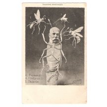 Franz Joseph was introduced as a beetle , everyone is attacking him