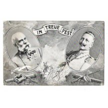 František Josef a Vilém, válečná vřava