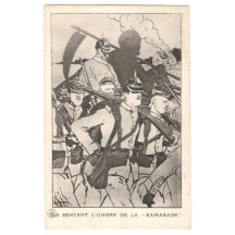 Wilhelm žene své vojáky do války