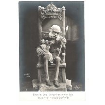 Franz Josef, podmanění si Bosny a Hercegoviny